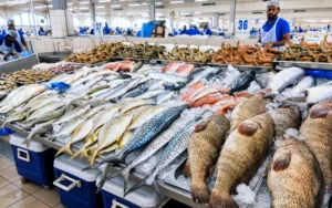 Fish Market