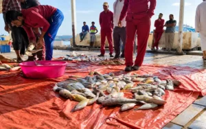 Fish Market