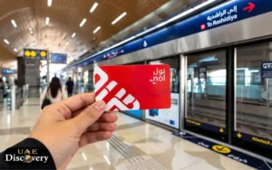F24 Bus NOl Card