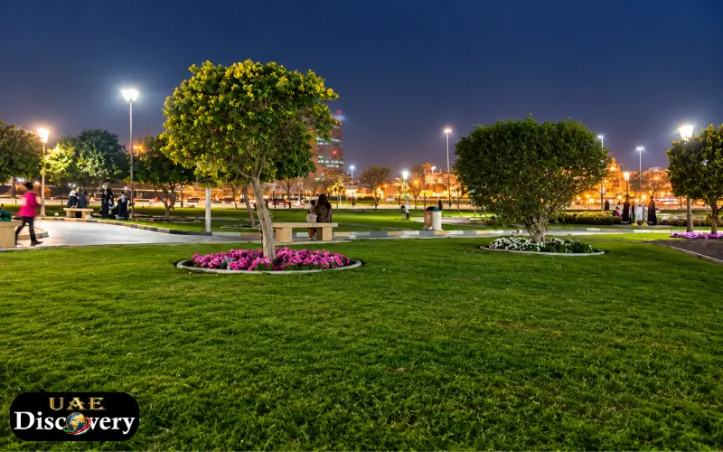 Al Fayha Park